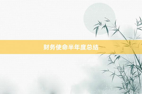 财务使命半年度总结